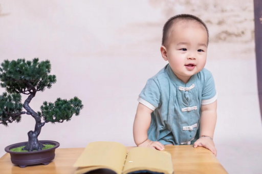 河间可爱的企鹅宝宝